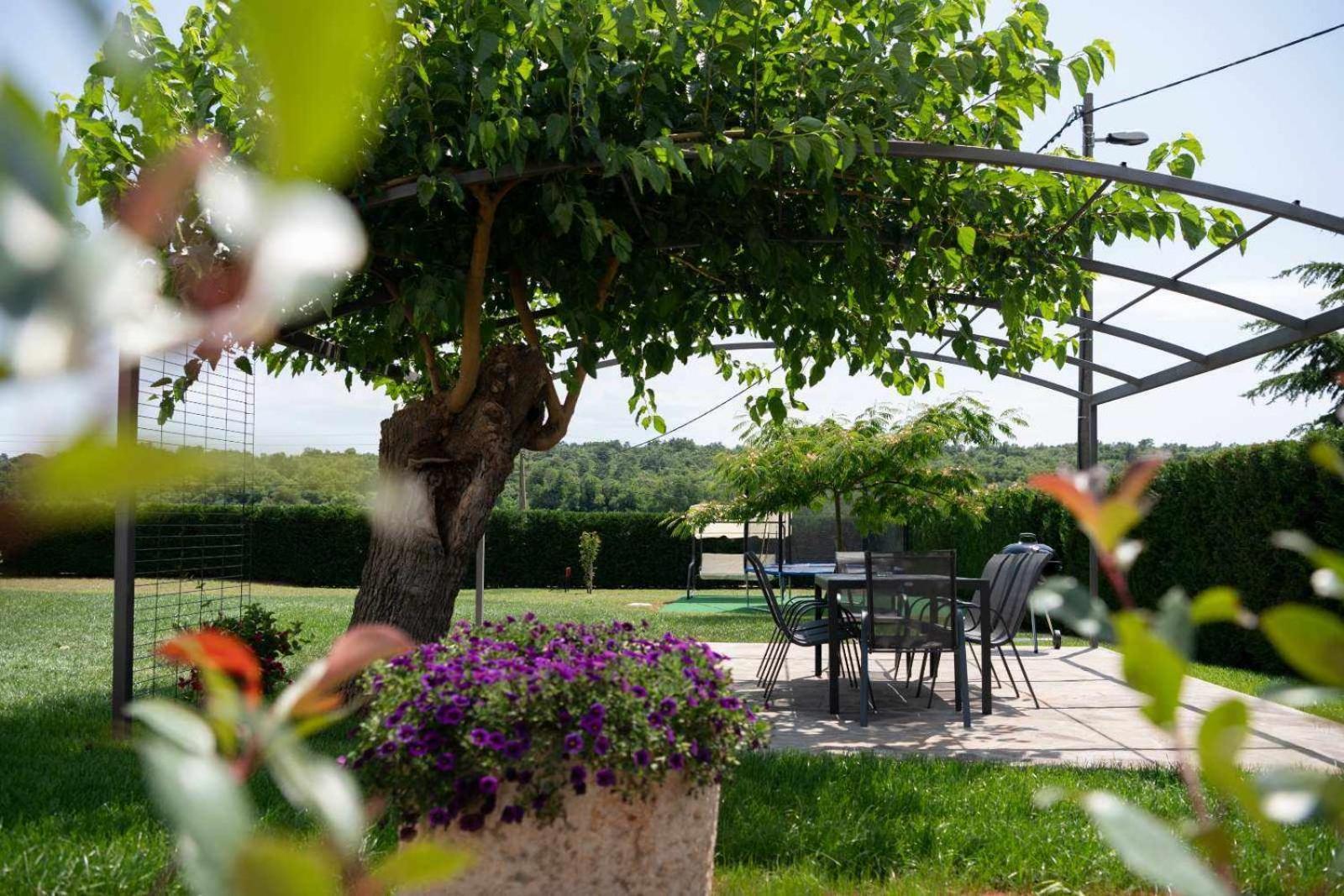 Apartment Emilia 2 Umag